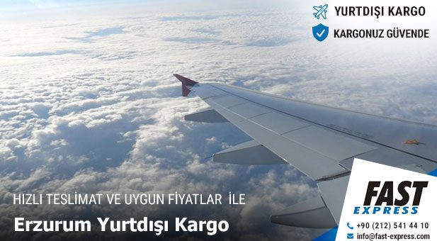 yurtdisikargo Erzurum