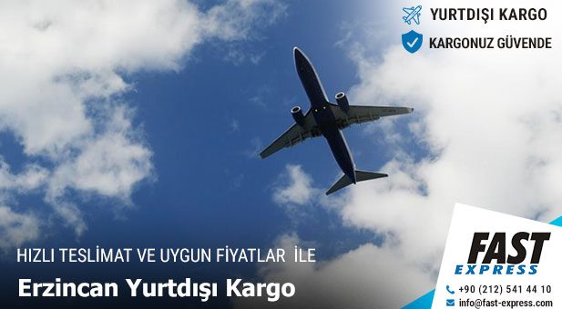 yurtdisikargo erzincan2 1