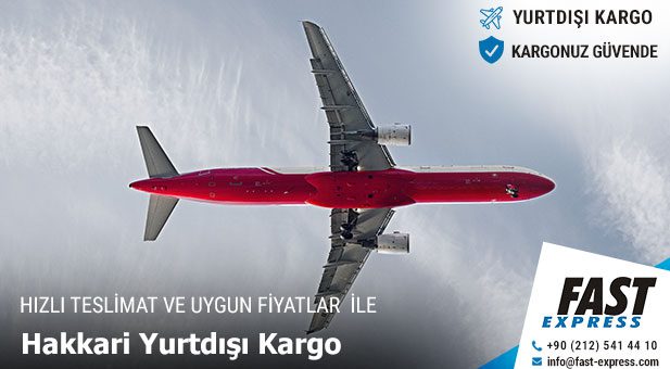 yurtdisikargo Hakkari2