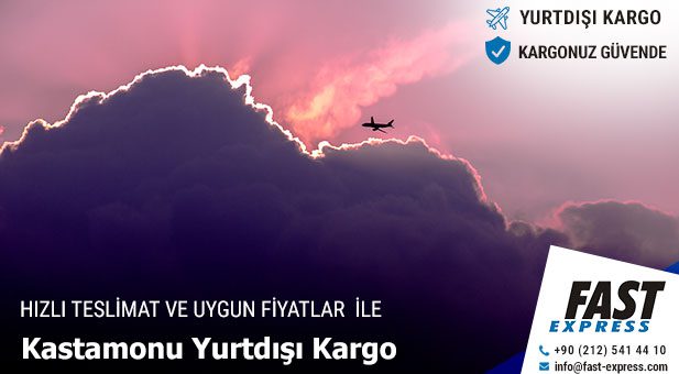 yurtdisikargo Kastamonu2