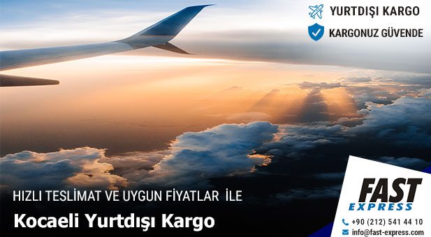 yurtdisikargo kocaeli2