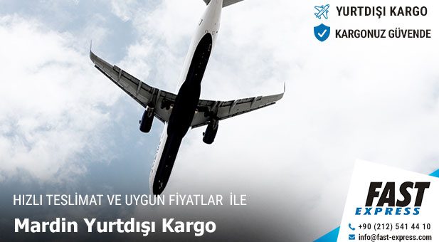 yurtdisikargo Mardin2