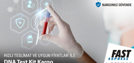 dna kargo fast express