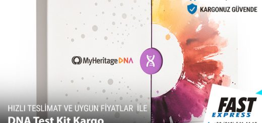 my heritage dna testi